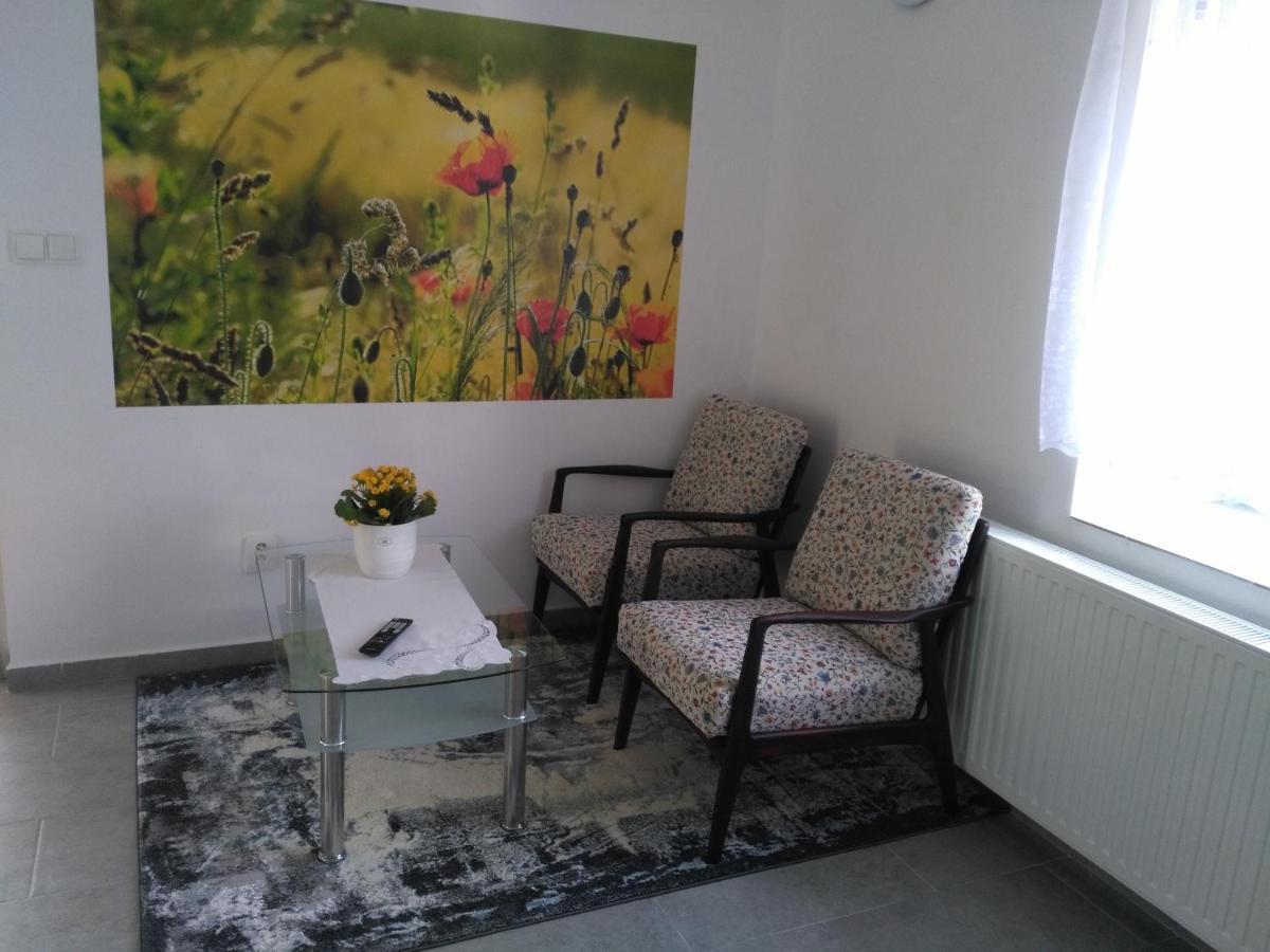 Apartmán GUTINO Ceska Trebova Esterno foto